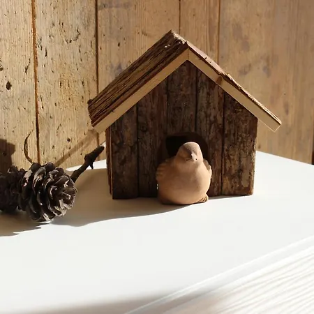 Monolith Black Forest * סכונאץ'