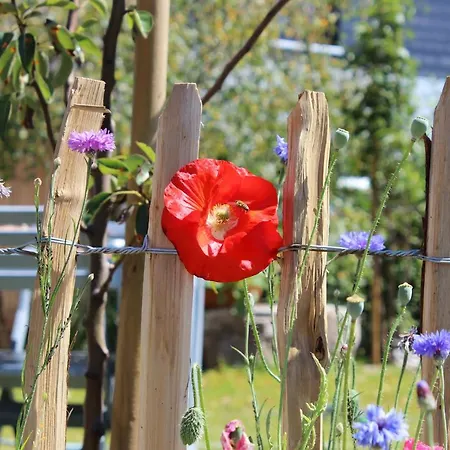 Monolith Black Forest דירה