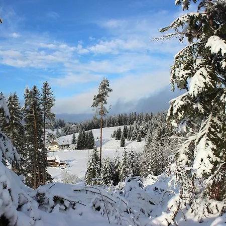 Monolith Black Forest Schonach im Schwarzwald