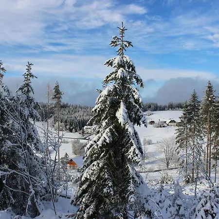 Monolith Black Forest דירה *