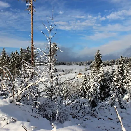 Monolith Black Forest