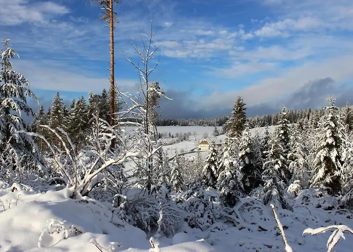 Monolith Black Forest